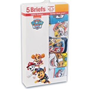 Paw Patrol Boys Underwear 5-Pack of Briefs New